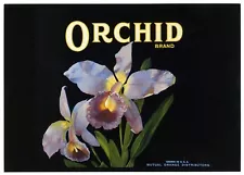 ORCHID (FLOWER) HISTORICAL 1930s ORANGE FRUIT CRATE LABEL ART~NEW 1979 POSTCARD