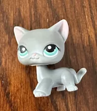 LPS Littlest Pet Shop Gray Shorthair Cat Blue Eyes Authentic 2004 Magnetic