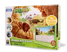 Uncle Milton Giant Ant Farm - Large Viewing Area - Care for Live Ants - Natur...