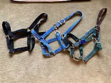 Three Draft Size Halters.