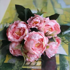 bartzella peony for sale