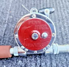 Penn Senator 4/0 Reel Combo With Fenwick 620 Rod 6 3/4