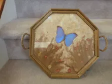 GREAT VINTAGE 8 Sided Dresser Tray Flourescent Blue Butterfly Dried Flowers 13"