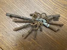 Lot of 9 skeleton keys on ring