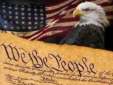 We the People Unites States Constitution American Flag Bald Eagle Wall Poster