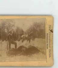 Man Buffalo Hunting Montana Liberty Brand Stereoview