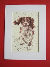 Springer Working Cocker Spaniel Dog Beautiful Picture Mounted Pet Art Puppy 40