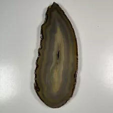 Brazilian Agate Polished Slab Display Piece Big 2 Lbs 1 Oz Flame Shaped