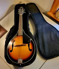 Rogue Mandolin Sunburst 8 String Model Rm-100A With Soft Case