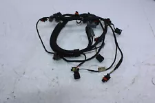 2009 Sea-Doo GTX 255 Limited iS ENGINE HARNESS 420665201