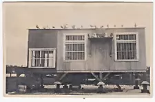 c1920 Homing Pigeons House~Vintage Real Photo Postcard RPPC