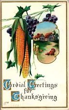 Cordial Greetings for Thanksgiving Corn on the Cob Grapes Farm Turkey Postcard