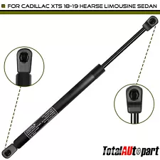 1x Lift Supports Strut for Cadillac XTS 18-19 Hearse Limousine Sedan Front Hood