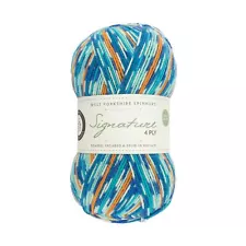 West Yorkshire Spinners Signature 4 Ply Yarn Wool 100g - Kingfisher (844)