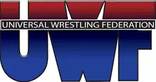 10 Pro Wrestling DVDs: UWF WRESTLING from 1987!