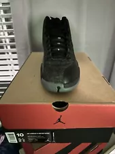 Size 10 - Jordan 12 Retro Wool 2016