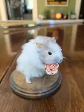 Hamster With Flower Small Animal Taxidermy Mouse Rat Guinea Pig