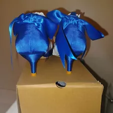 Formal Women Royal Blue Heels/Pumps