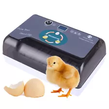 Portable Compact 12 Digital Egg Incubator Chicken Quail Hatcher Auto Turning