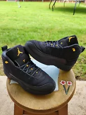 Jordan Retro 12 "Black Taxi" PS 2Y