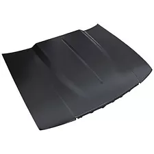 Cowl Induction Hood Panel fits 1994-1996 Chevrolet Caprice 4049-200-911