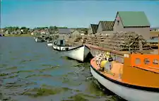 Postcard: Deep Sea Fishing and Lobster Boats North Rustico. PEI Canada