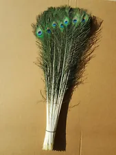 white peacock feathers for sale