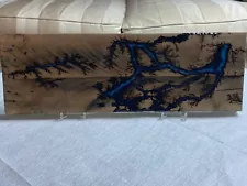 Fractal Lichtenberg Wood Burning Art