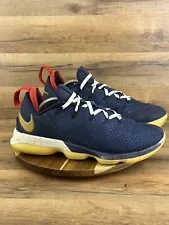 Nike LeBron XIV 14 Low USA Shoes Size 12 US Navy 878636 400 Basketball