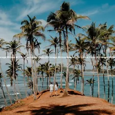 Coconut hills Mirissa Beach in Sri Lanka Photo JPG Image