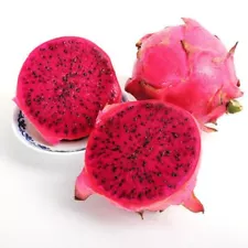 200 Rare Red Dragon Seeds Anti-aging Delicious Sweet Pitaya Organic Fruit