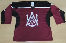 Alabama A & M Bulldogs Sewn Crest Hockey Jersey Size Youth XL - Rare