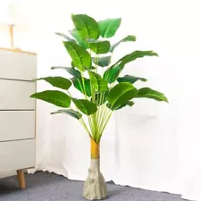 Banana Tree Large Tropical Plants Palm Leaf Monstera Musa For Autumn Decoration