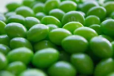 GREEN Original Skittles LIME by the Pound BULK FREE SHIPPING!