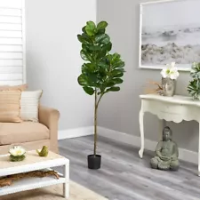 5.5ft. Potted Fiddle Leaf Fig Tree