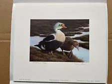 Nancy Howe - 1991 Federal Duck Stamp Print - MEDALLION ED - S/N - W/Stamp & Med