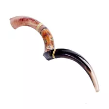 Sale For Shofar Horn Yemenite 40-42" Painted Kudu Jerusalem Lion of Judah + Bag