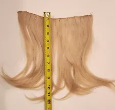 Hair Extensions Real Human Hair Weft 12 inch Blonde Sew in