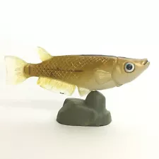 Choco Egg Mini Figure Fish Medaka Japanese Rice Fish Kaiyodo Furuta Japan 012C