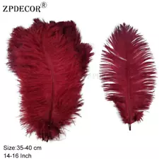 Factory Direct Sale14-16Inch 35-40CM Standard Ostrich Feathers for Jewelry Craft