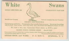 Postcard Advertising Meems Bros. and Ward in Sparkill, NY White Swans for Sale