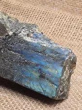 Labradorite Slab Unpolished BlueGreen Flash Feldspar Lapidary Rough Rock Mineral