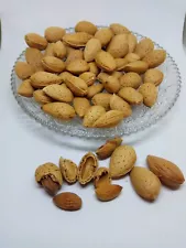 bitter almond tree seeds for sale