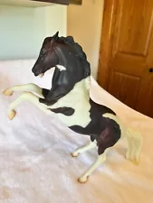 Bryer horse brown and white paint on hind legs