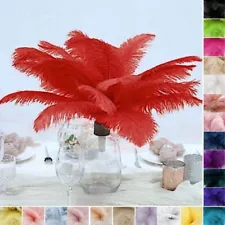 72 pcs 13-15" long Genuine Ostrich FEATHERS for Wedding Party Centerpieces SALE