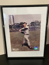 Ted Williams Boston Red Sox MLB Photo (Size: 11.5" x 14.5") Framed