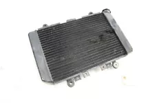 Kawasaki Prairie 400 4x4 99 Radiator 39060-1150 46887 (For: Kawasaki Prairie 400)