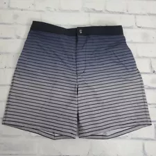 Lands End Swim Shorts Trunks Mens Medium 32-34 Hybrid Gray Striped Stretch Beach