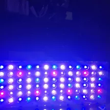 Two (2) Orphek Atlantic V2.1 Reef Aquarium LEDs