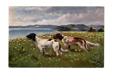 DOGS ~ 2 HUNTING TYPES BREED, ARTIST IMAGE ~ 1910s